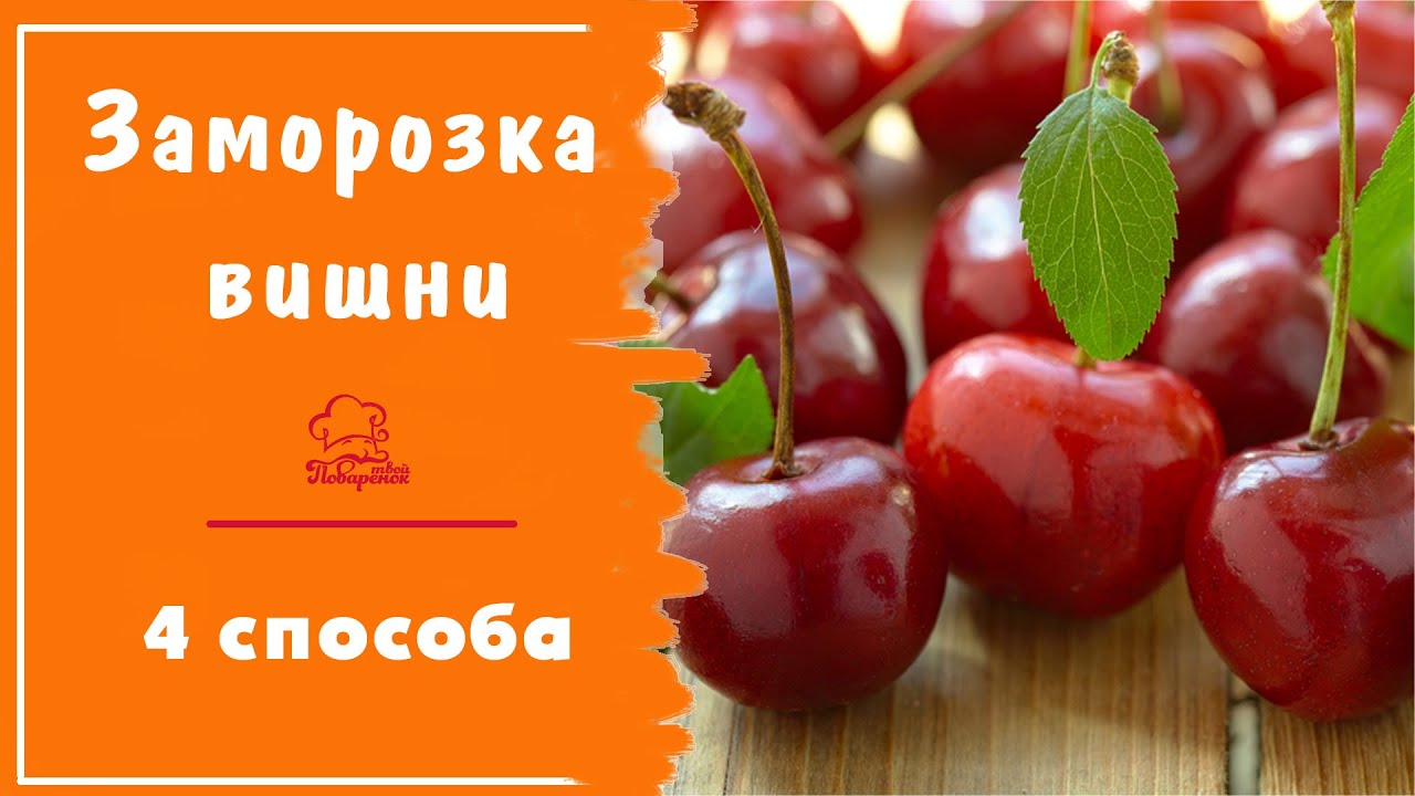 Как правильно заморозить вишню на зиму - 4 лучших способа заморозки в домашних условиях