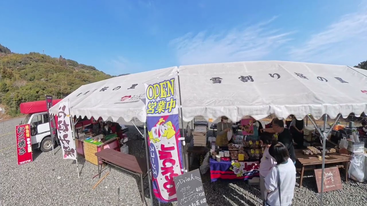 №49　桑田山雪割桜と大谷の樟