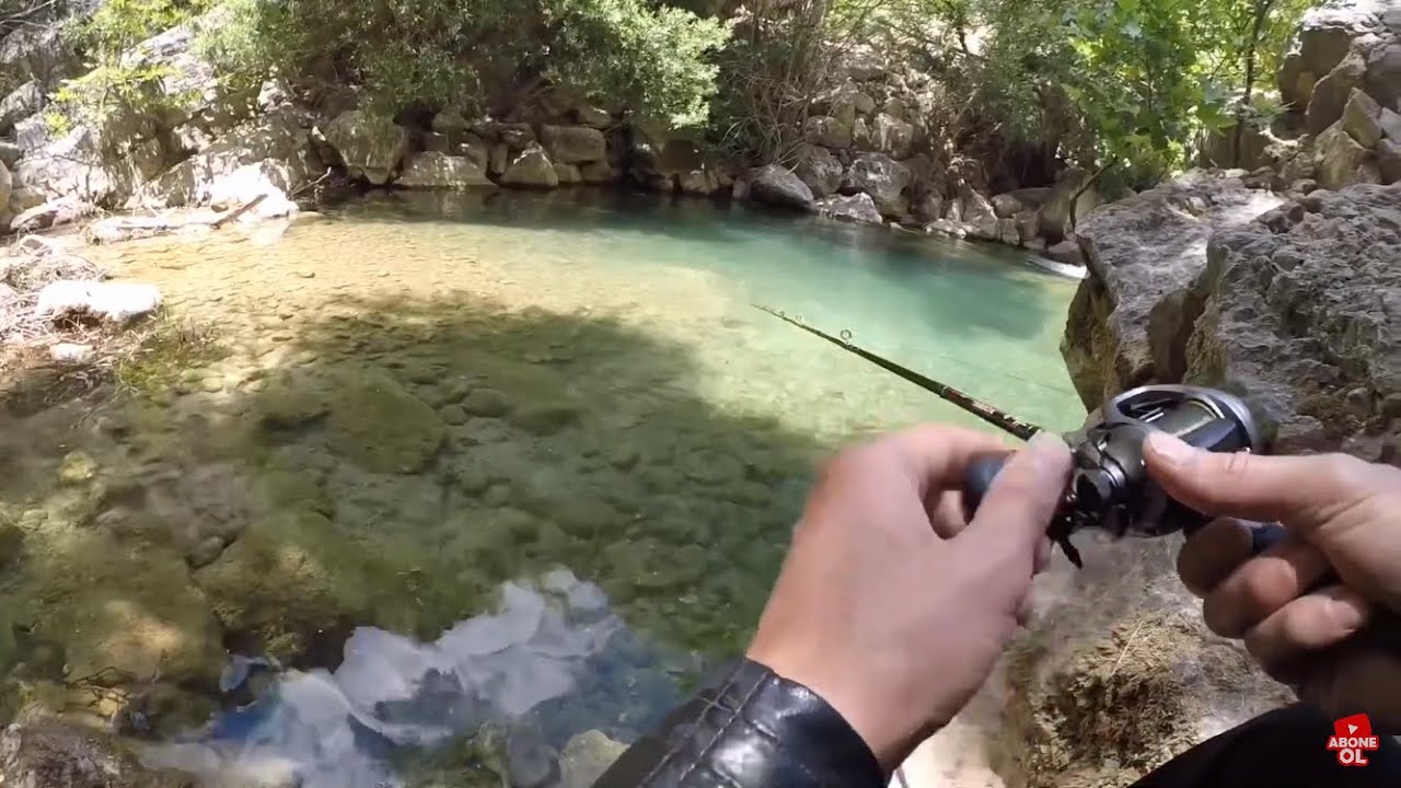 Alabalık avı | Saldırgan balıkların kaçış hikayesi..!