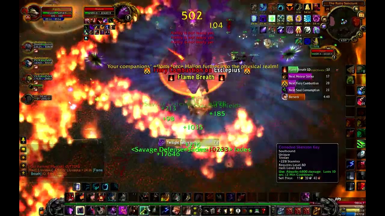ruby sanctum 25 bear tank