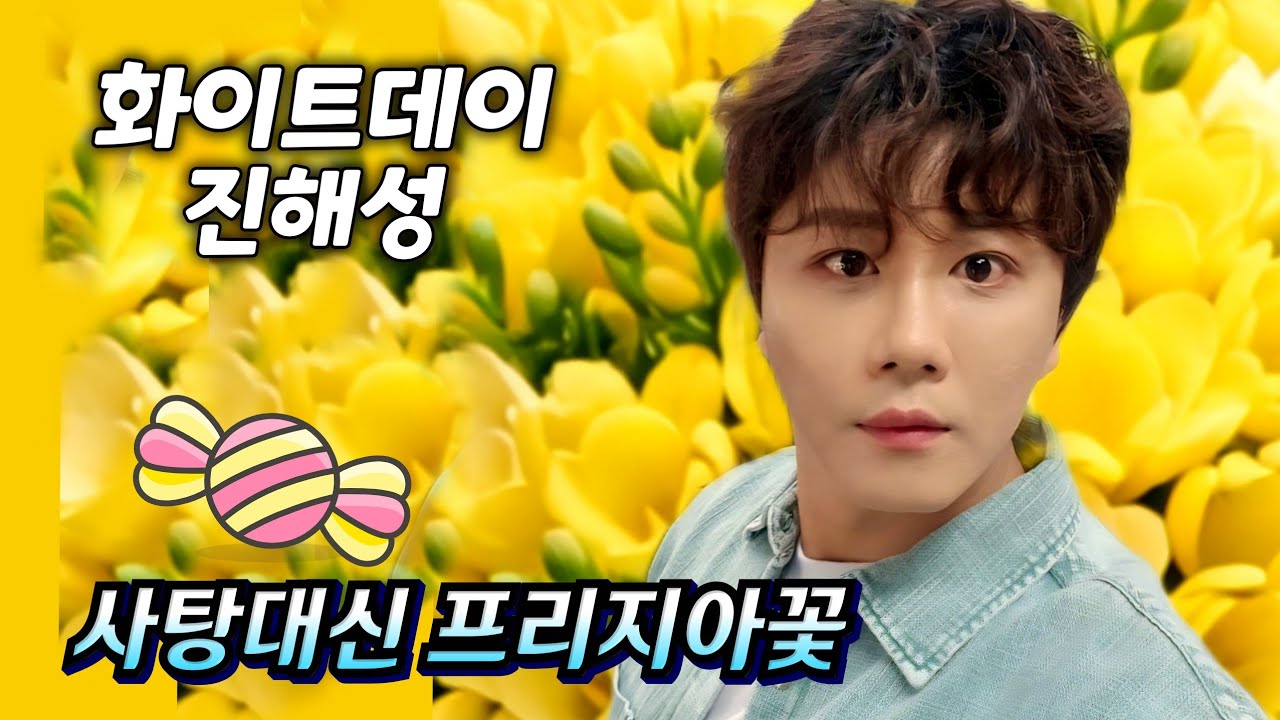 🍬 살짝이라도 의미있는 날에는 무조건 진해성!! (화이트 데이날 사탕대신 후리지아꽃) #진해성 #화이트데이 #화이트데이선물 #후리지아꽃  #해성사랑 