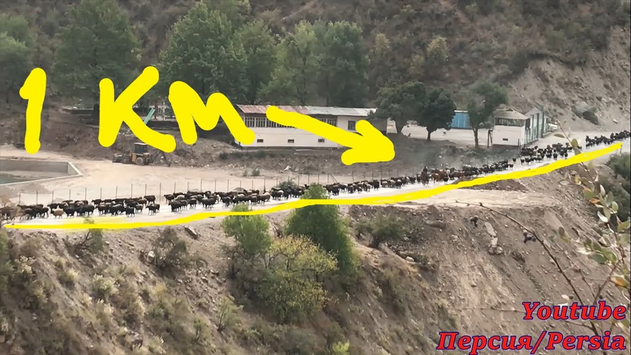 ТАДЖИКИСТАН/РАЙОН САНГВОР/Горы из окна вижуЯ/РАШТСКАЯ ДОЛИНА/РАФТИНГ/SANGVOR/RASHT VALLEY/TAJIKISTAN