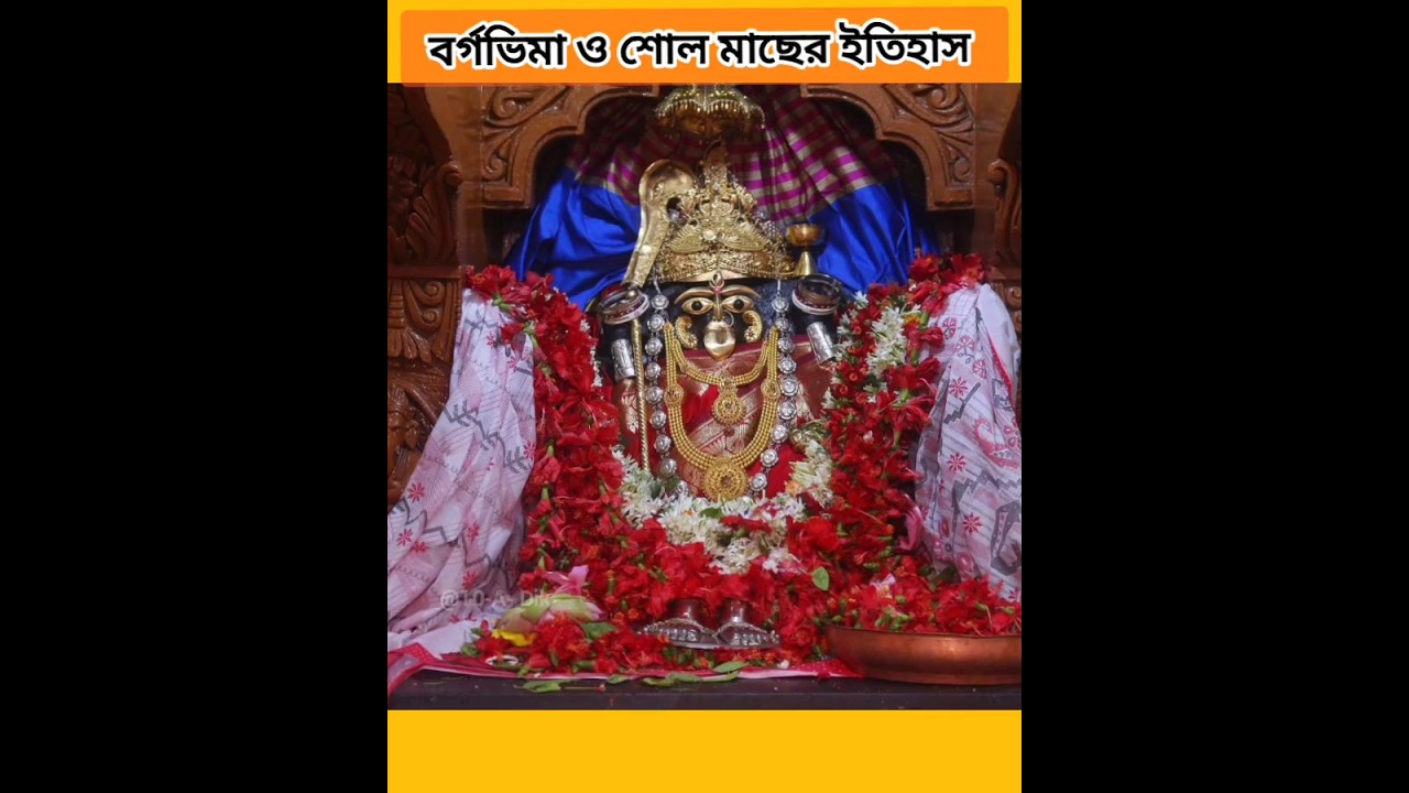 বর্গভীমা মন্দির ও শোল মাছের ইতিহাস #bargavima #shorts #god
