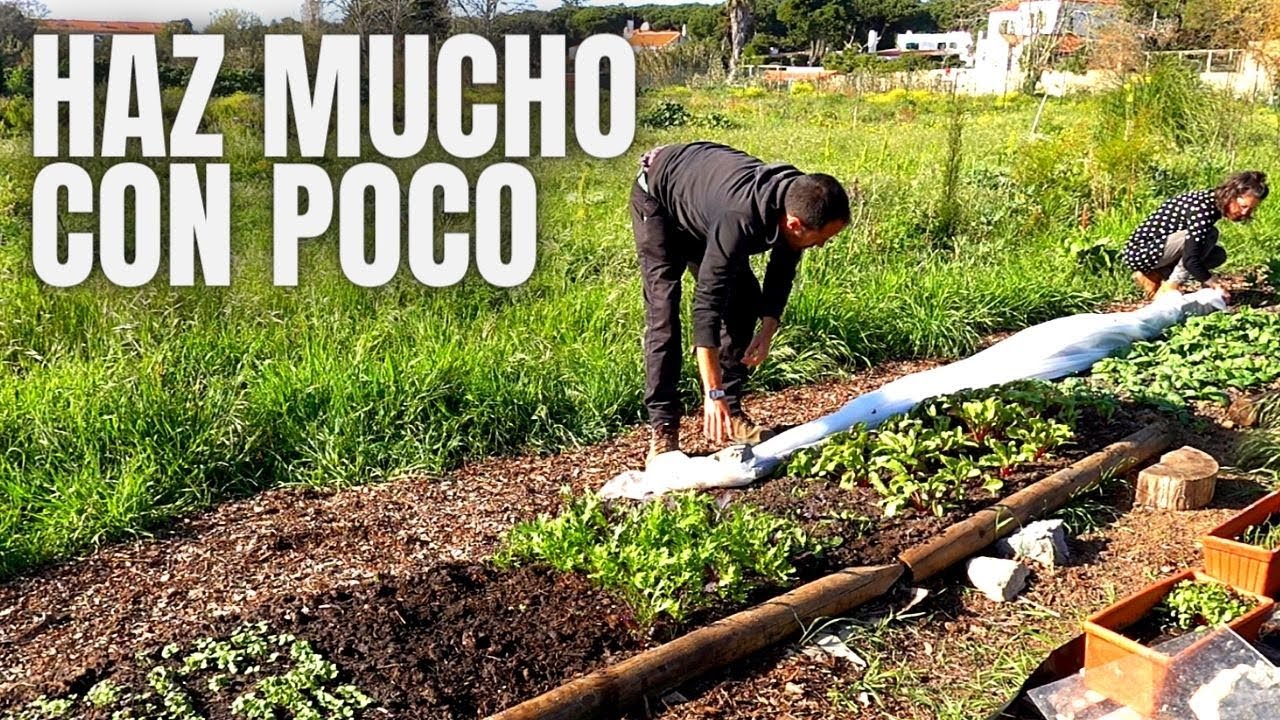 Haz mucho con poco