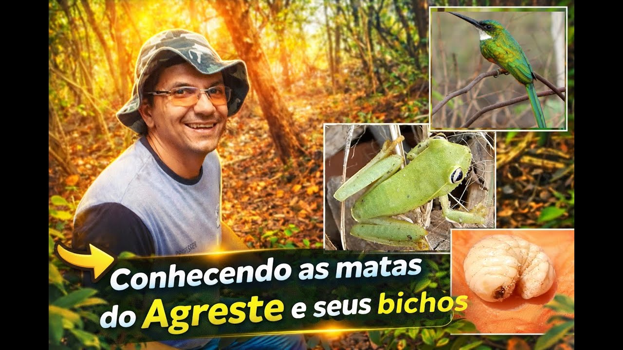 Conhecendo as matas do Agreste e seus bichos