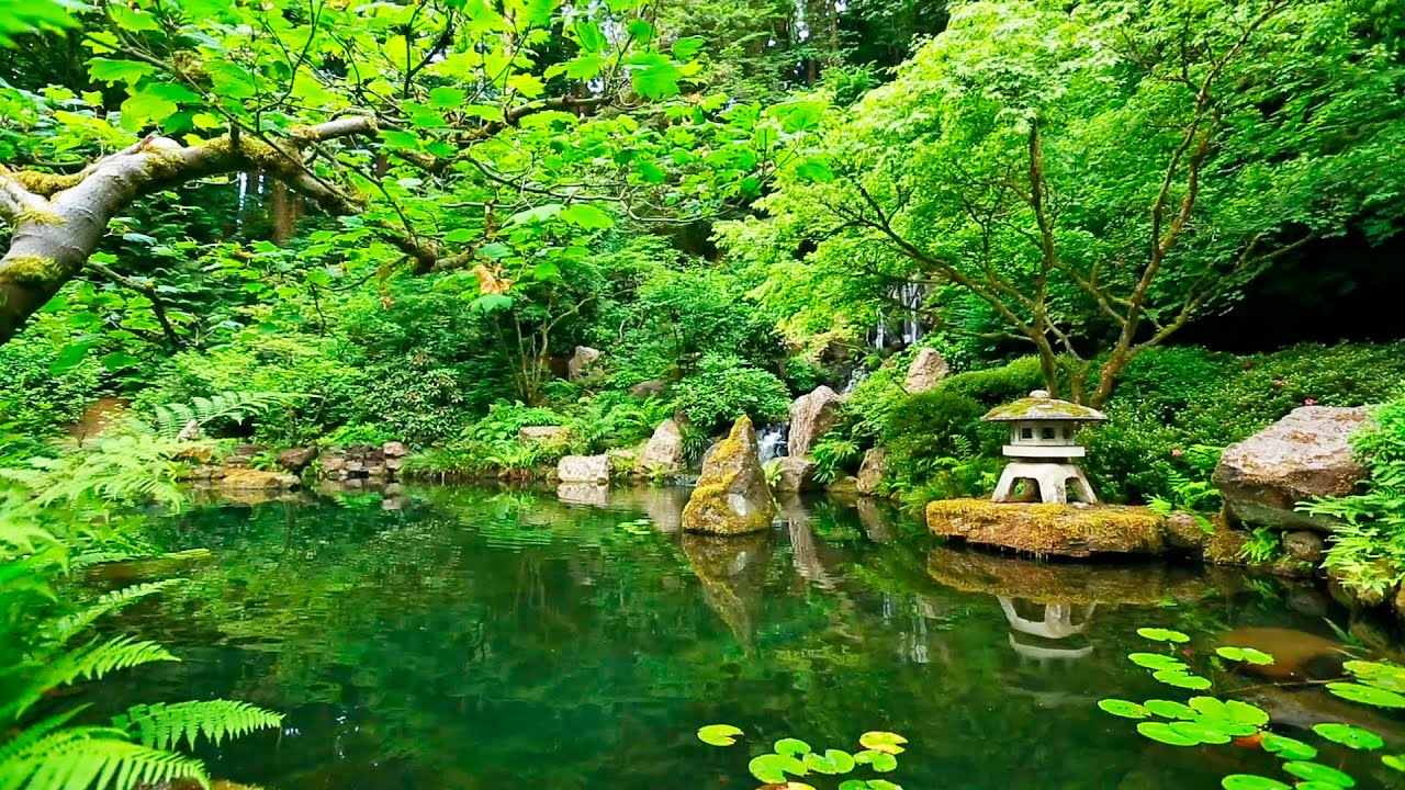 Deep Sleep Music and Nature Sounds - Zen Garden HD Relaxing