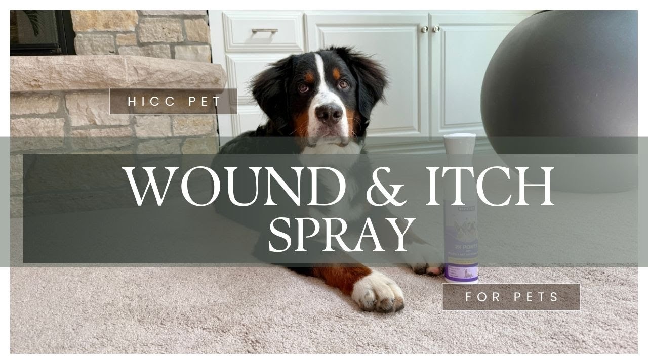 HICC PET Dog Hot Spot Treatment Spray | Itch Relief & Wound Care for Dogs & Cats