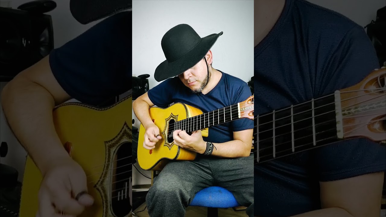 Gaviota traidora #duetoamerica #requintocolombiano #carrilera #guasca #guitarra