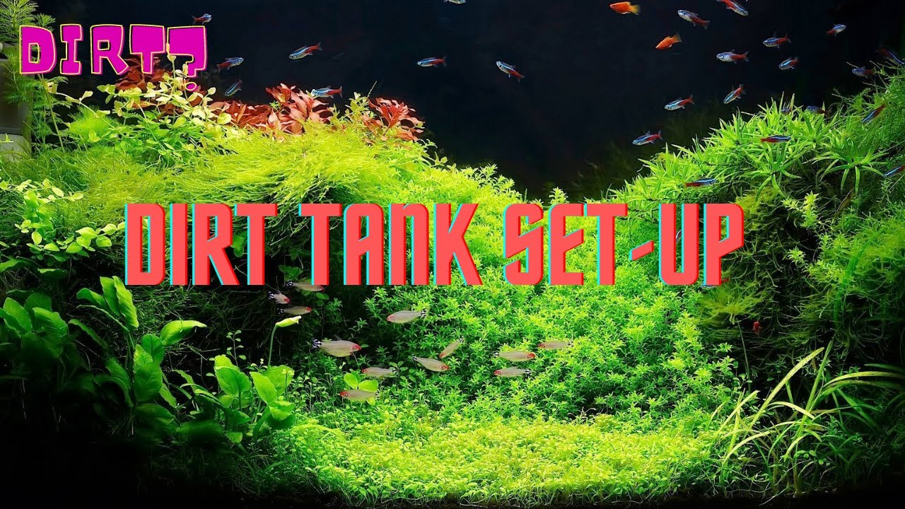 DIY Soil Substrate Aquarium - Dirt Tank