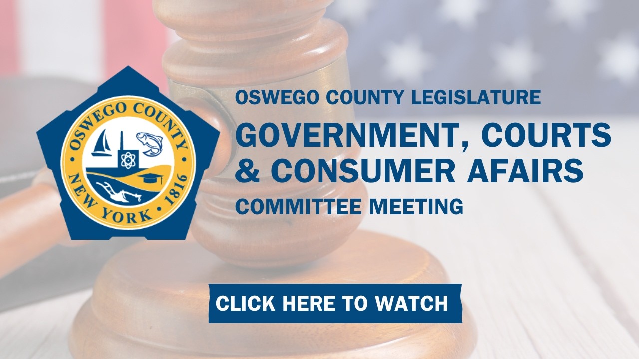 March 2, 2026 Government, Courts and Consumer Affairs Committee Meeting-Regular Meeting