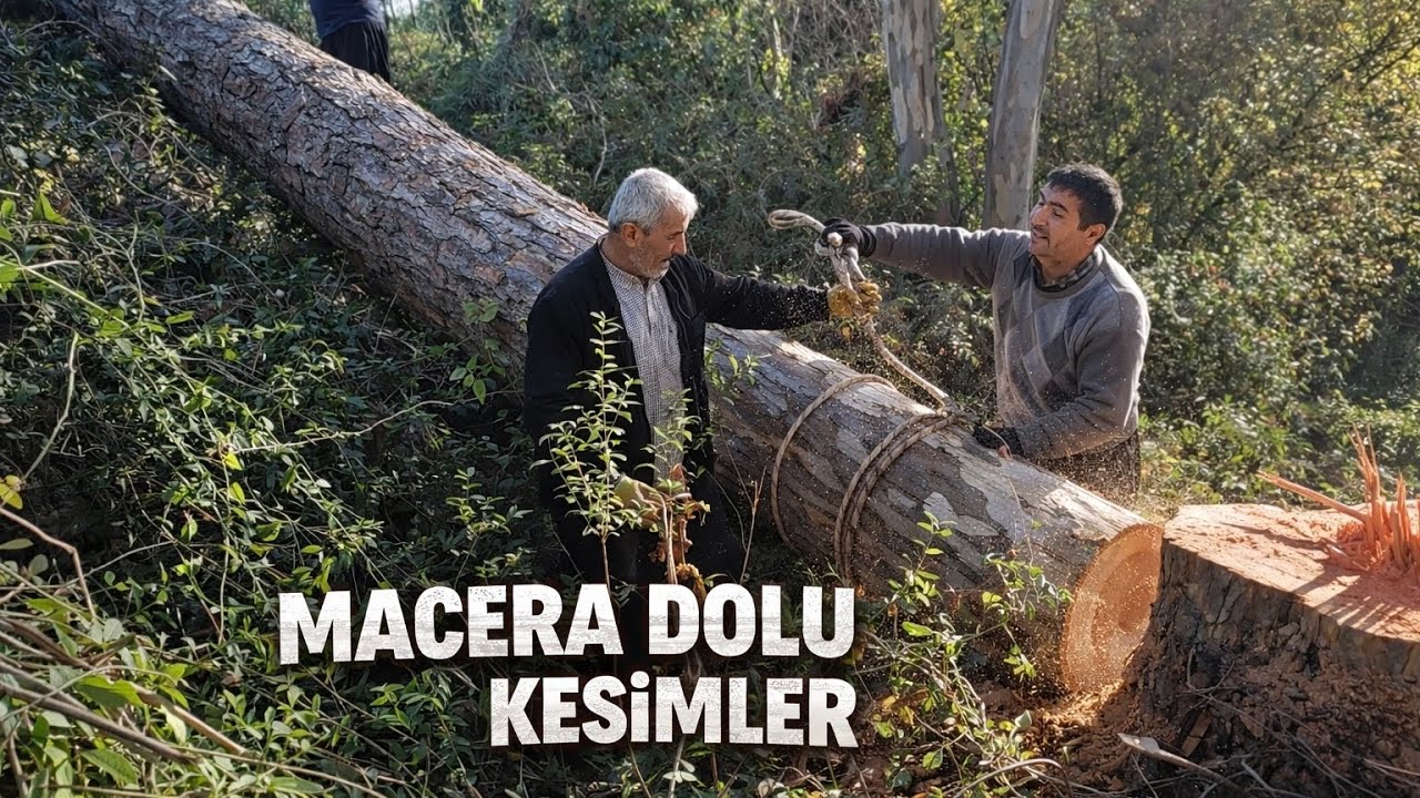 Bu Yerde Kesim Normalde Yapılmaz! Sonuç ŞOK 😱