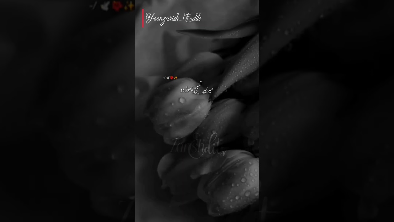 #ramzanmubarakstatus #ramzancomingsoonstatus2026 #naatstatus #short_video #lyrics_whatsapp_status