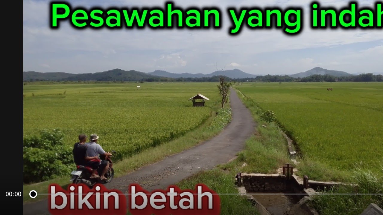 Pesawahan .Terindah yang bikin betah.bisa menghilangkan Rasa jenuhdi.perbatasan Jateng jabar