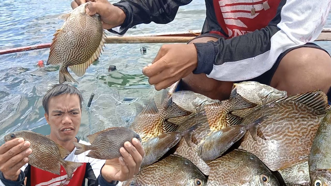 NET FISHING/ PAMAMATSAW OR PAMUMULABOG SA ISDA