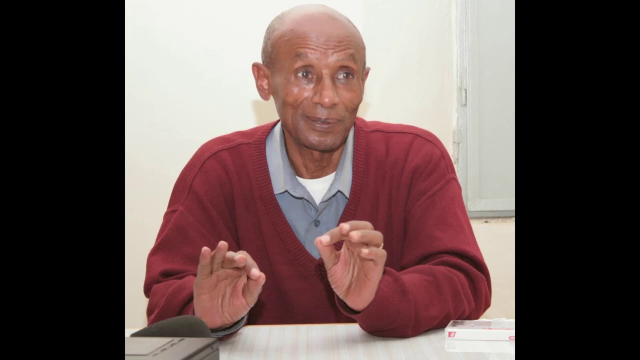 'በየነ ሃይለ- ደራሲ ኣብ  እለሻ ኣድማሳዊ ሓቕታት
