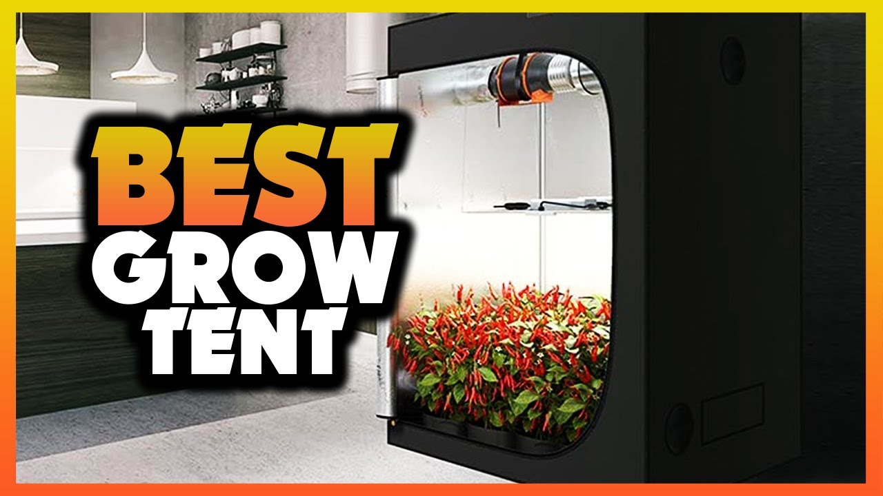 ✅ Best Grow Tents On Amazon [Tested & Reviewed]