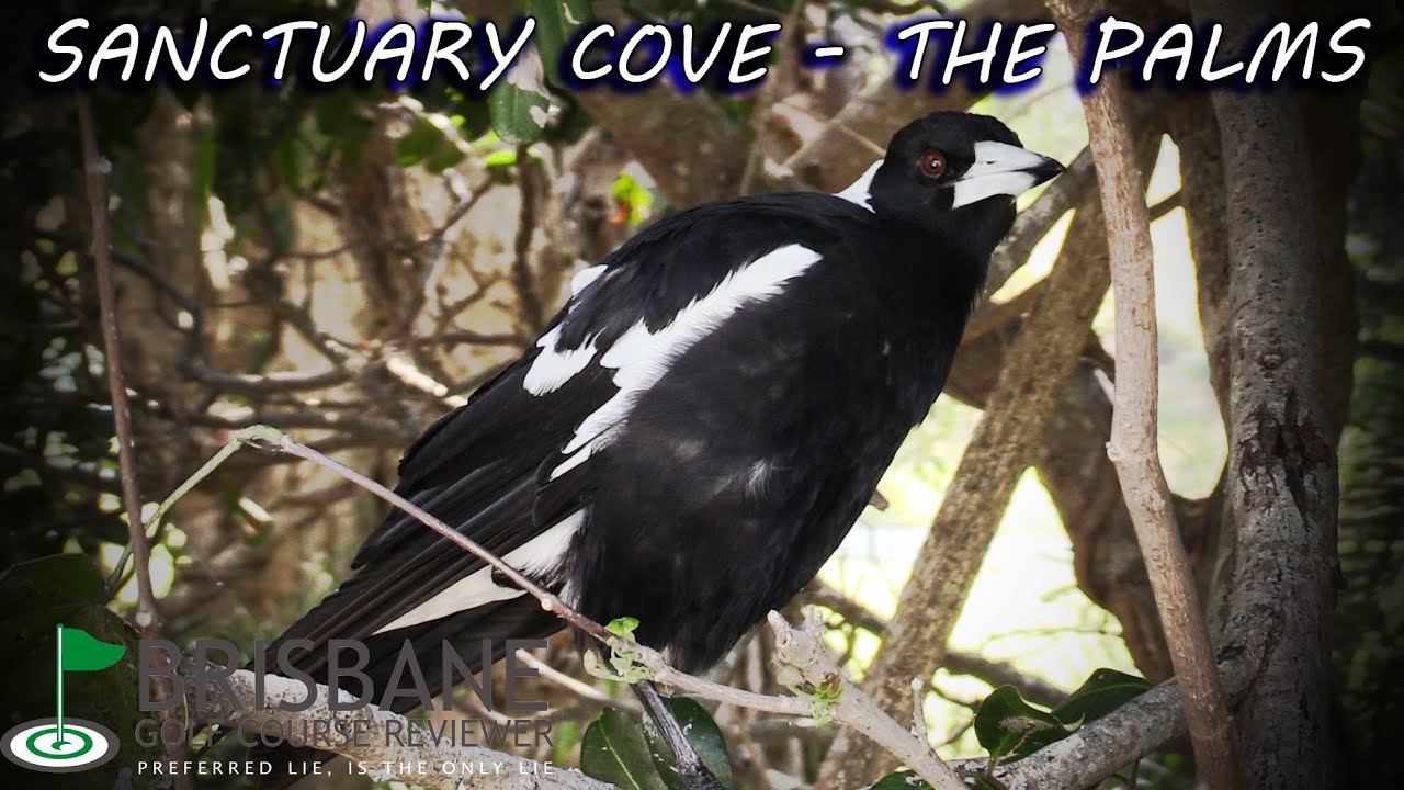 SANCTUARY COVE - THE PALMS PART 3