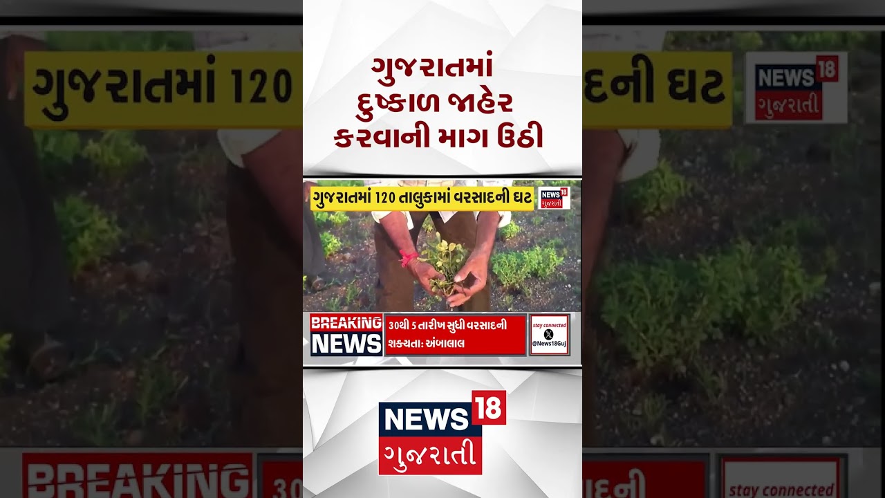Gujarat Agriculture News | ગુજરાતમાં દુષ્કાળ જાહેર કરવાની માગ ઉઠી | Gujarati Samachar #shorts
