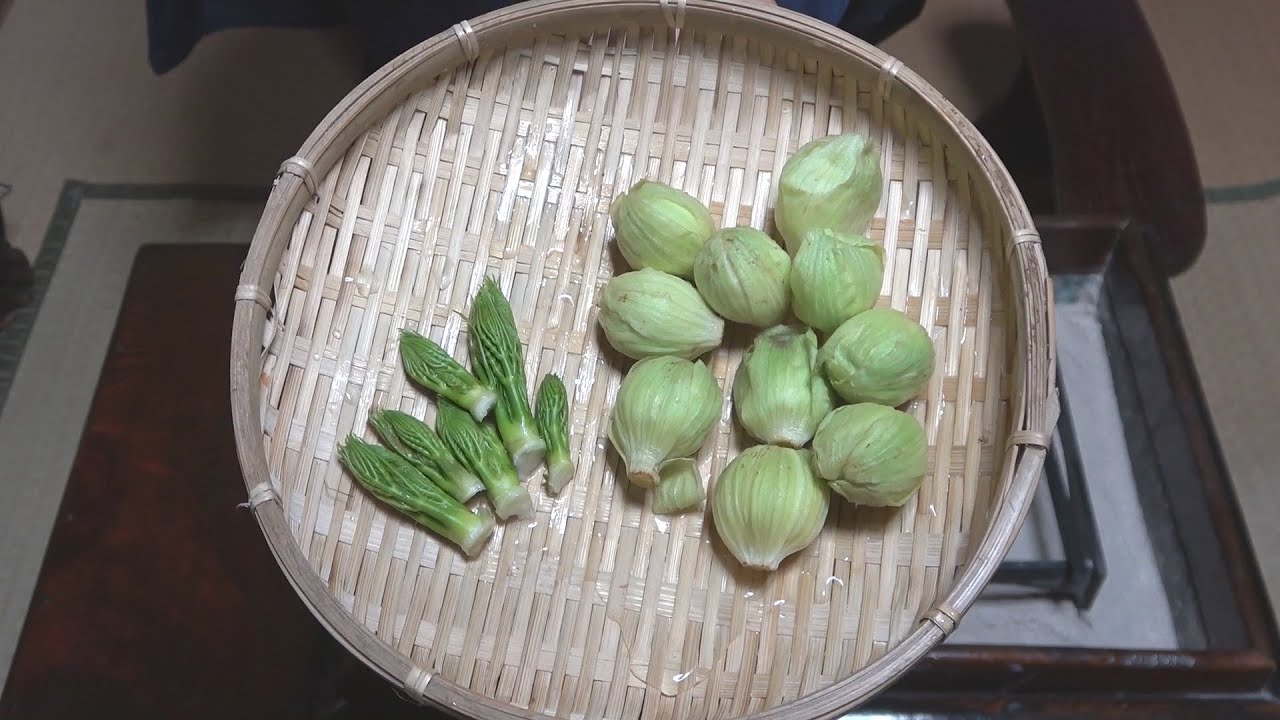 ばっけ味噌-Butterbur bud miso-【Japanese food 江戸長火鉢】
