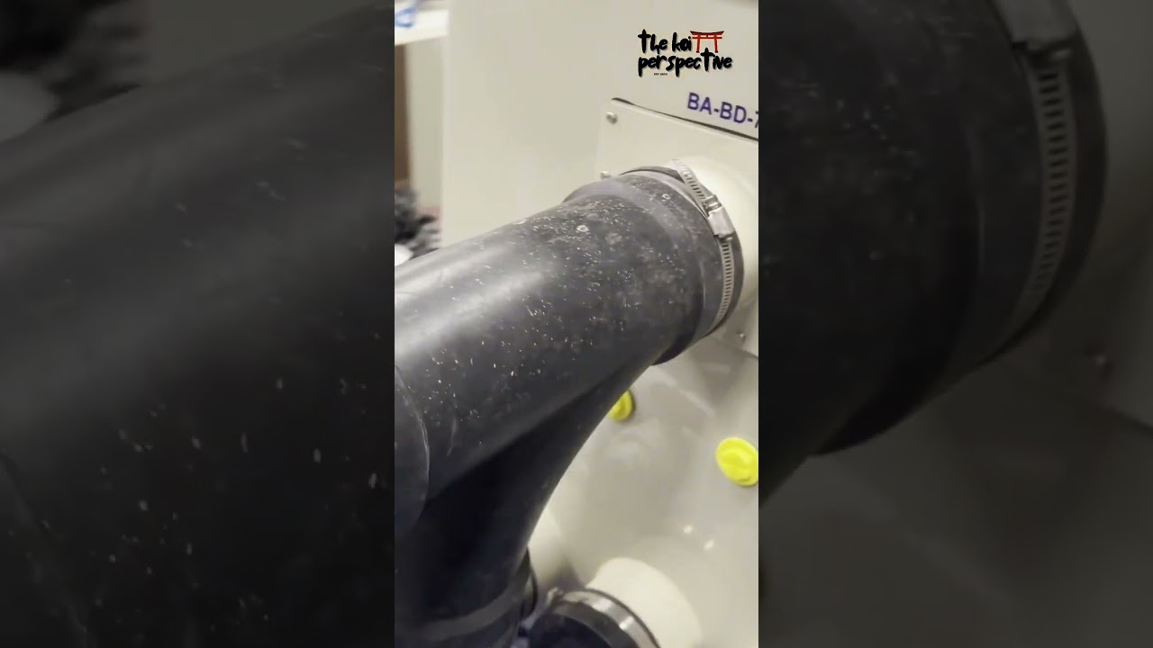 Watch How a Drum Filter Works: An Inside Look