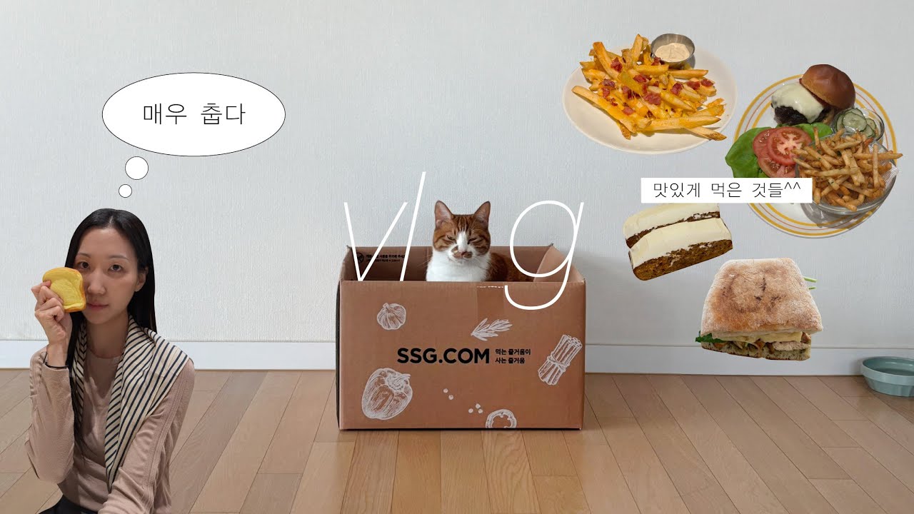 vlog. 가을이라고 하기엔 너무 춥다❄️(당근케이크, 빵쇼핑, 아웃백, 빌즈, 플랫오)