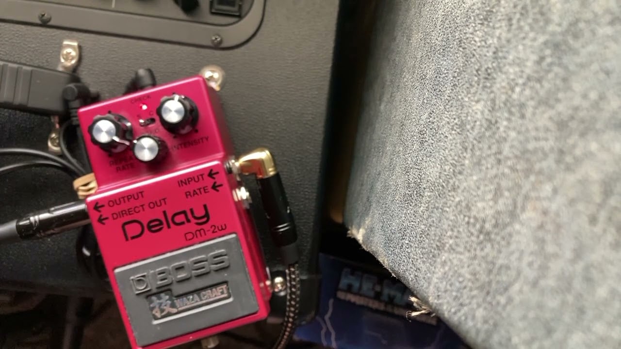 You Need a Boss DM-2w