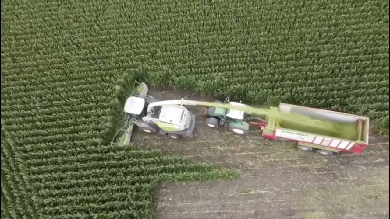 Maissilage Lohnunternehmen Früh 2023
