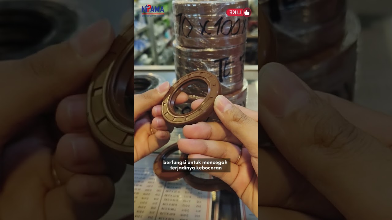 OIL SEAL TC NBR & VITON - PT. NIPAMA MANDIRI