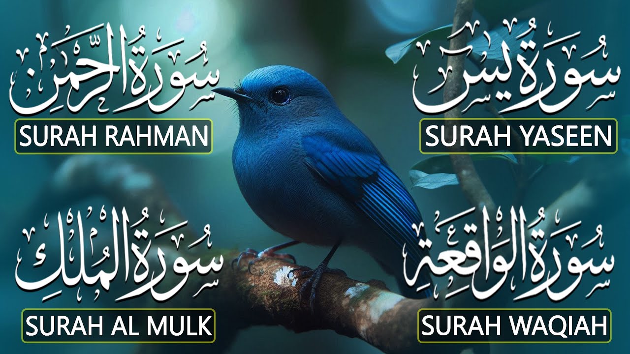The Best Recitation Surah Yaseen Yasin  Surah Rahman  Surah Waqiah  Surah Mulk