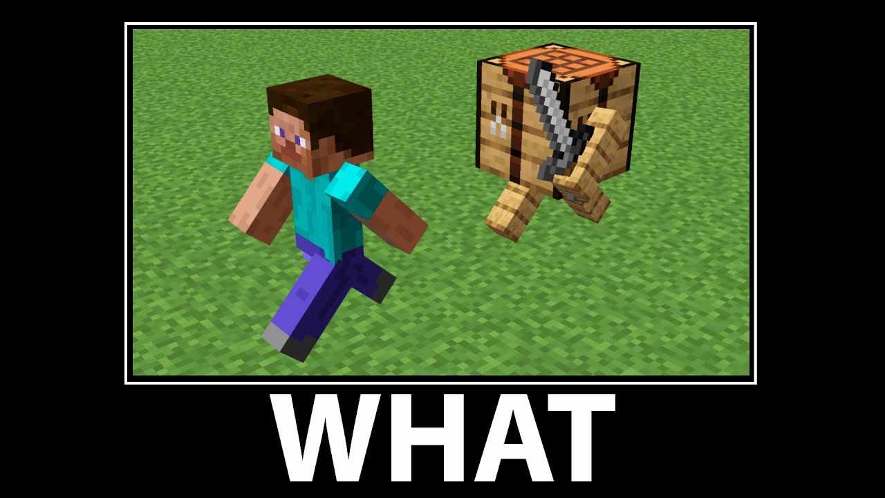 WAIT WHAT - Minecraft #13