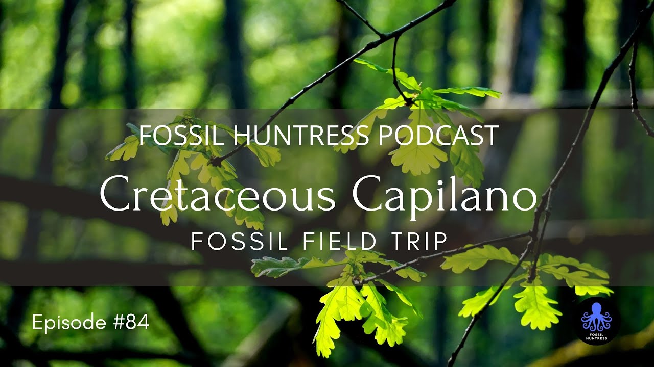 Fossil Huntress Podcast: Cretaceous Capilano Fossil Field Trip / Episode #84