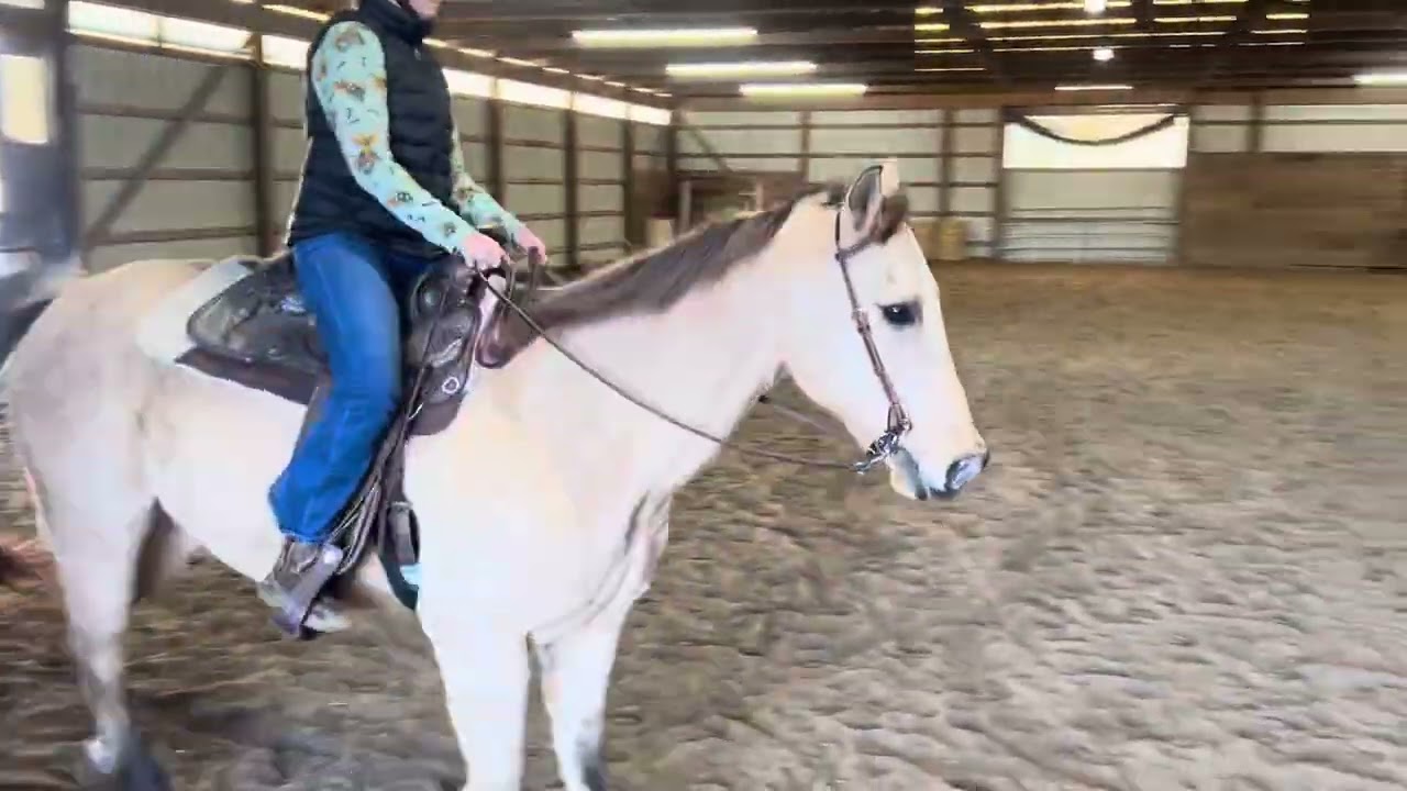 Maggie Schleppi - WDAA Intro Test 4 - November 2025 Show