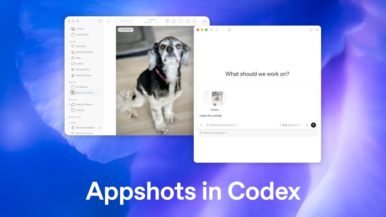 Introducing Appshots in Codex