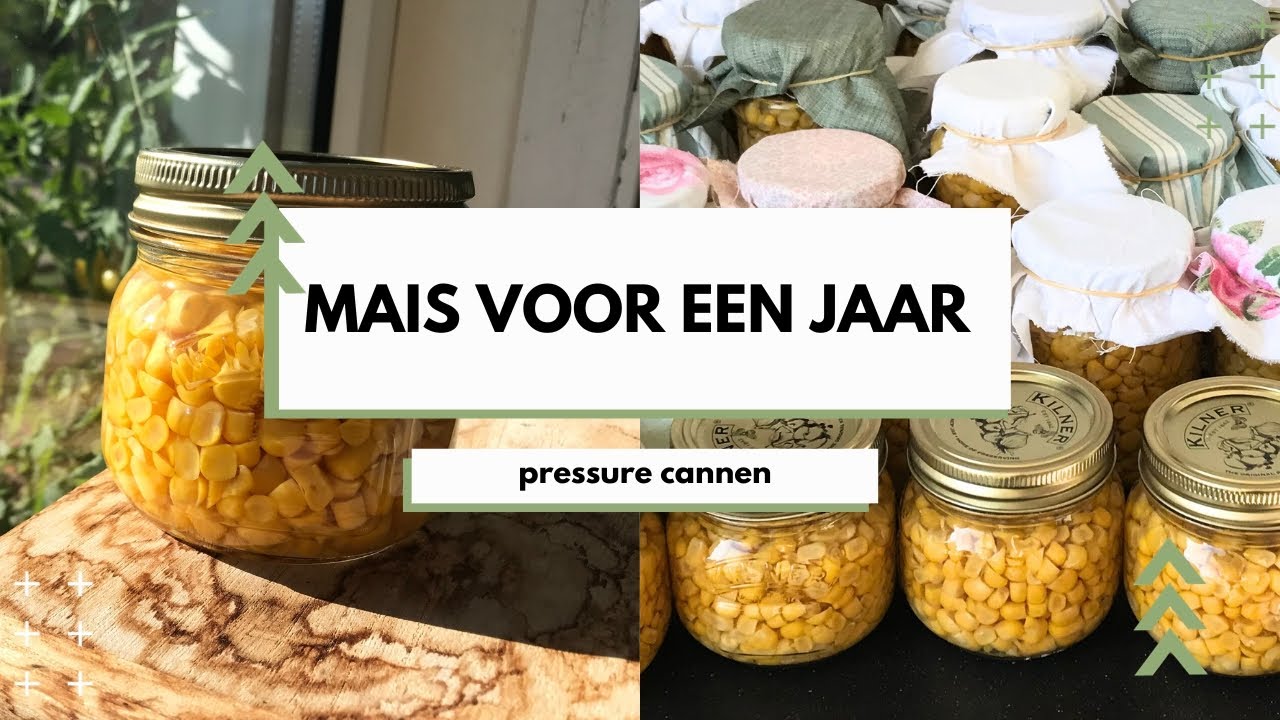 Mais voor een HEEL JAAR Pressure cannen