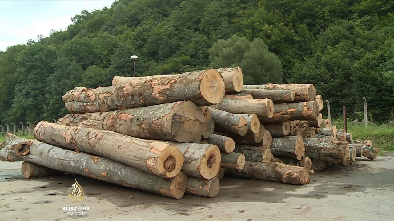 Trupci umjesto u domaćim fabrikama završavaju u izvozu