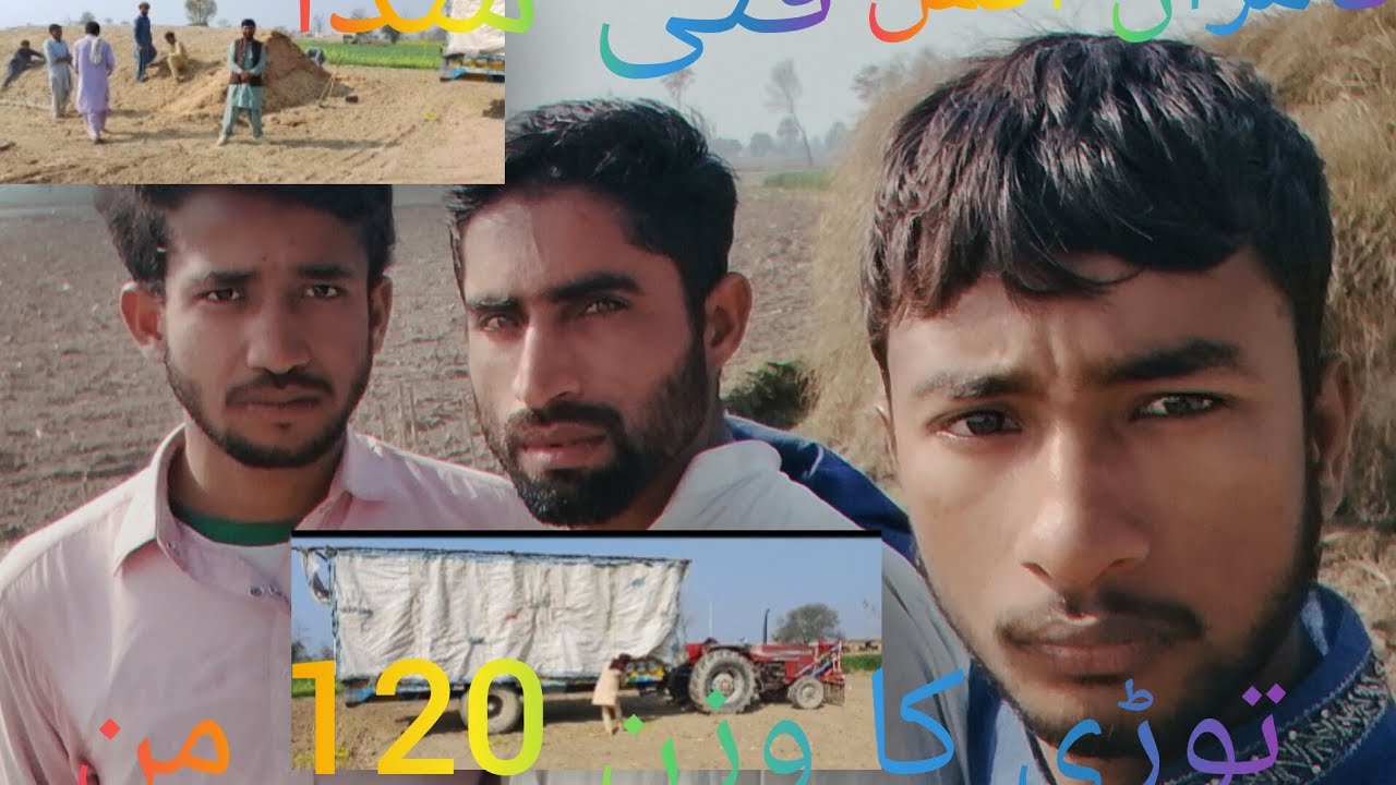 Chudi ka Tala 120 man 485 tractor 🚜 Kamran Kamal muzammil gulam vansh