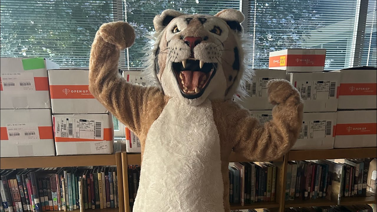 I Became A Wildcat Mascot For A School Event…