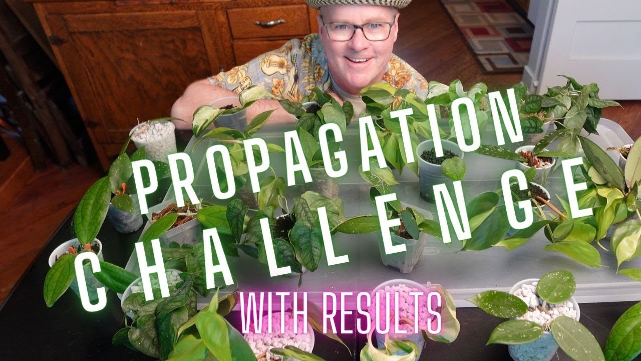 Ultimate Substrate Challenge - Who Will Root FASTEST?