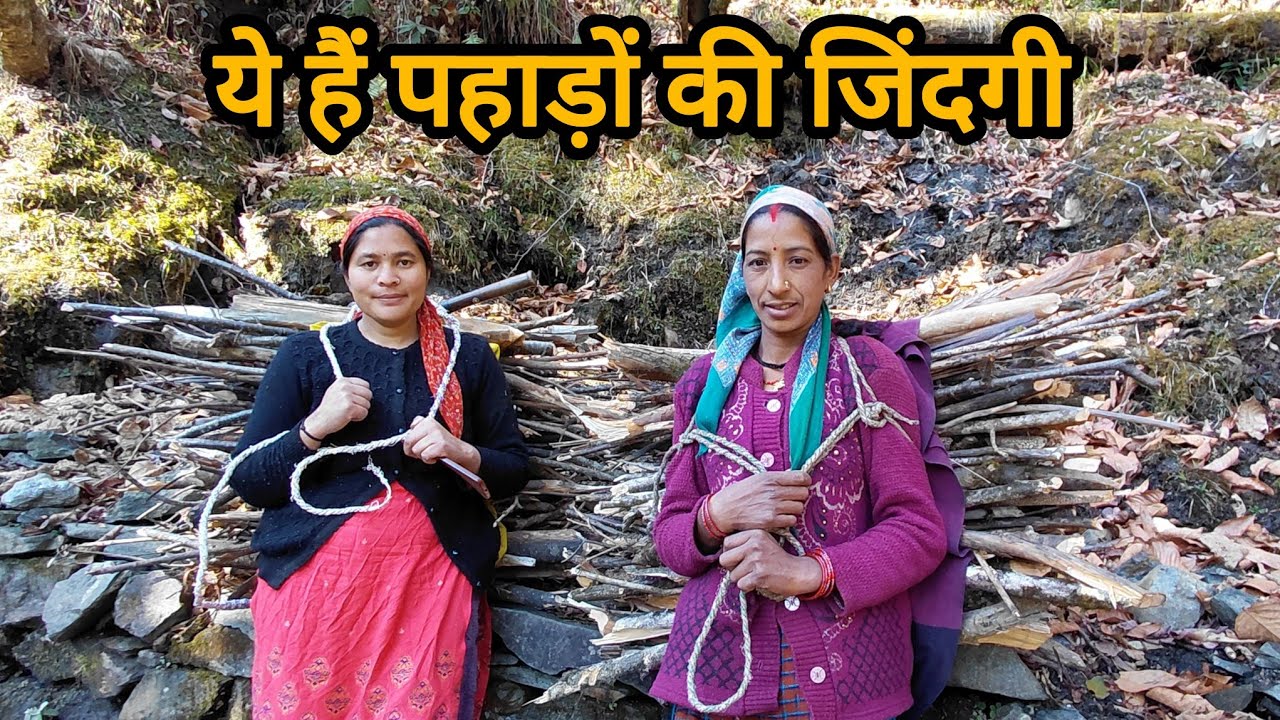 यहां वाले जंगल अब कभी नहीं जाऊंगी || pahadi Lifestyle Vlog || Pinky Gairola Vlog ||