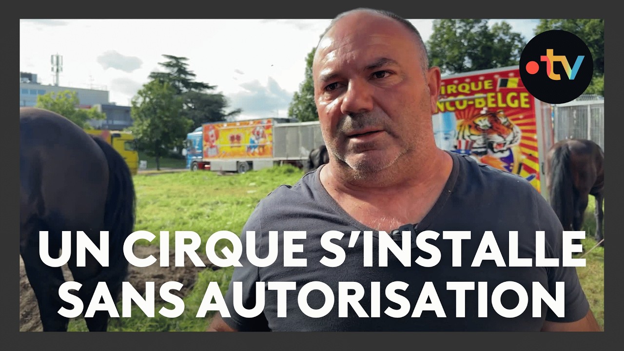 Un cirque et ses animaux sauvages s'installe sans autorisation en ville
