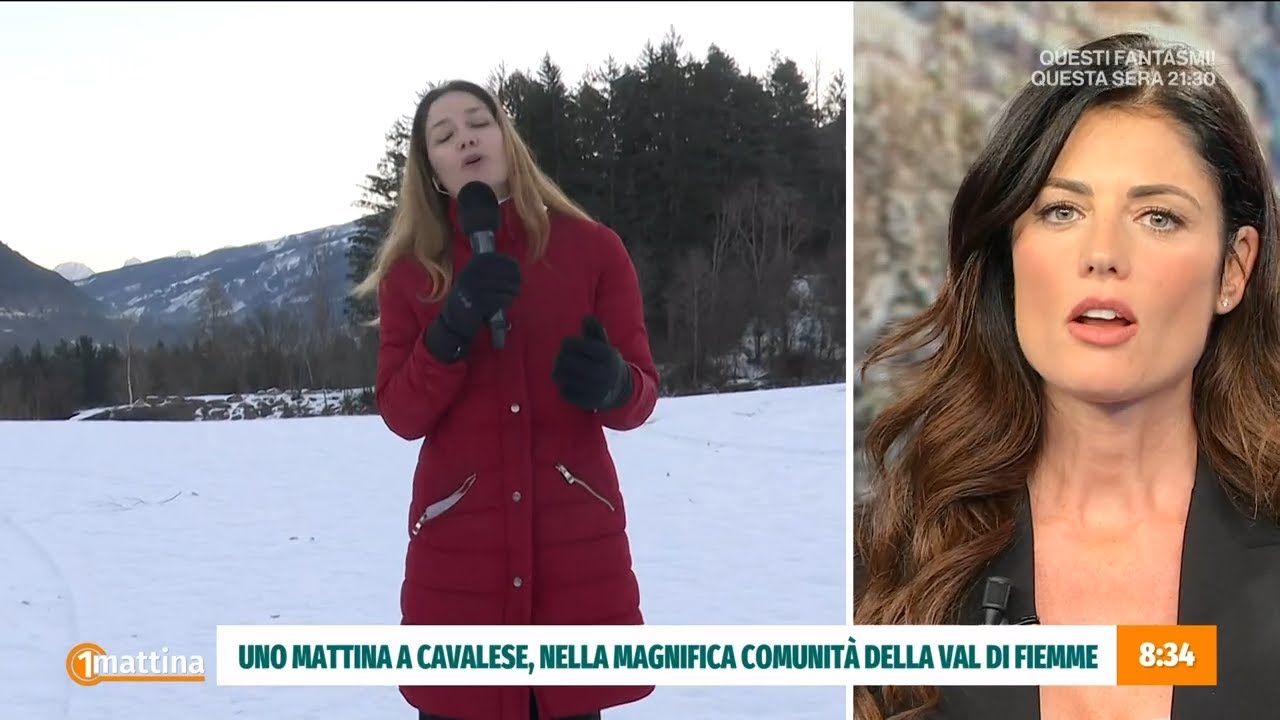 Legna d'inverno: il ciclo virtuoso dell'abete in Val di Fiemme - Unomattina 30/12/2024