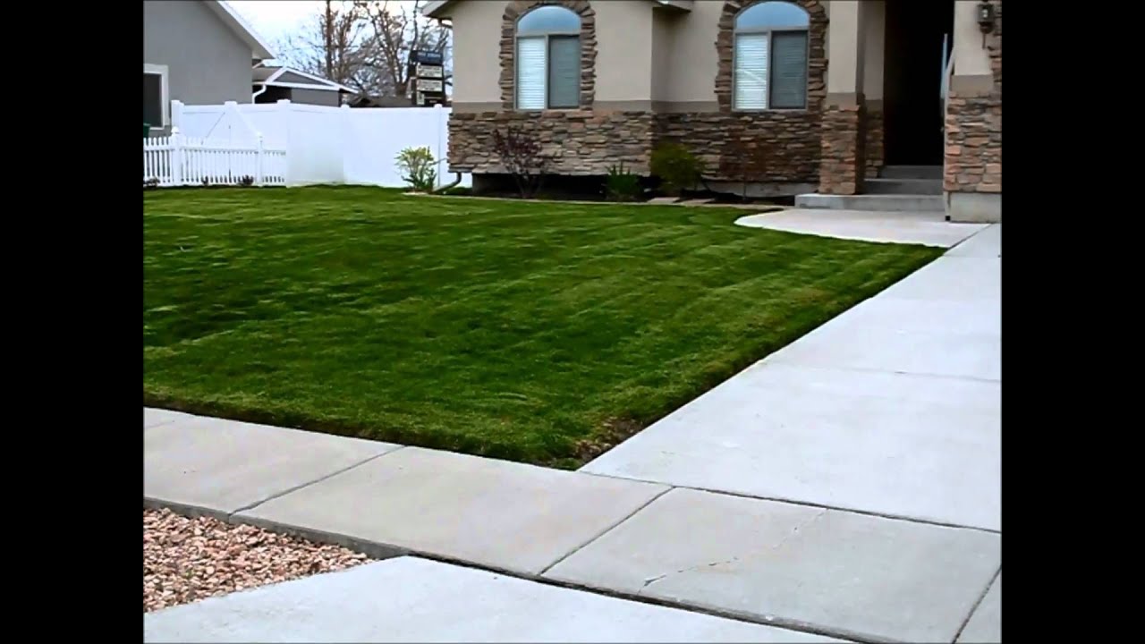 atom lawn edger