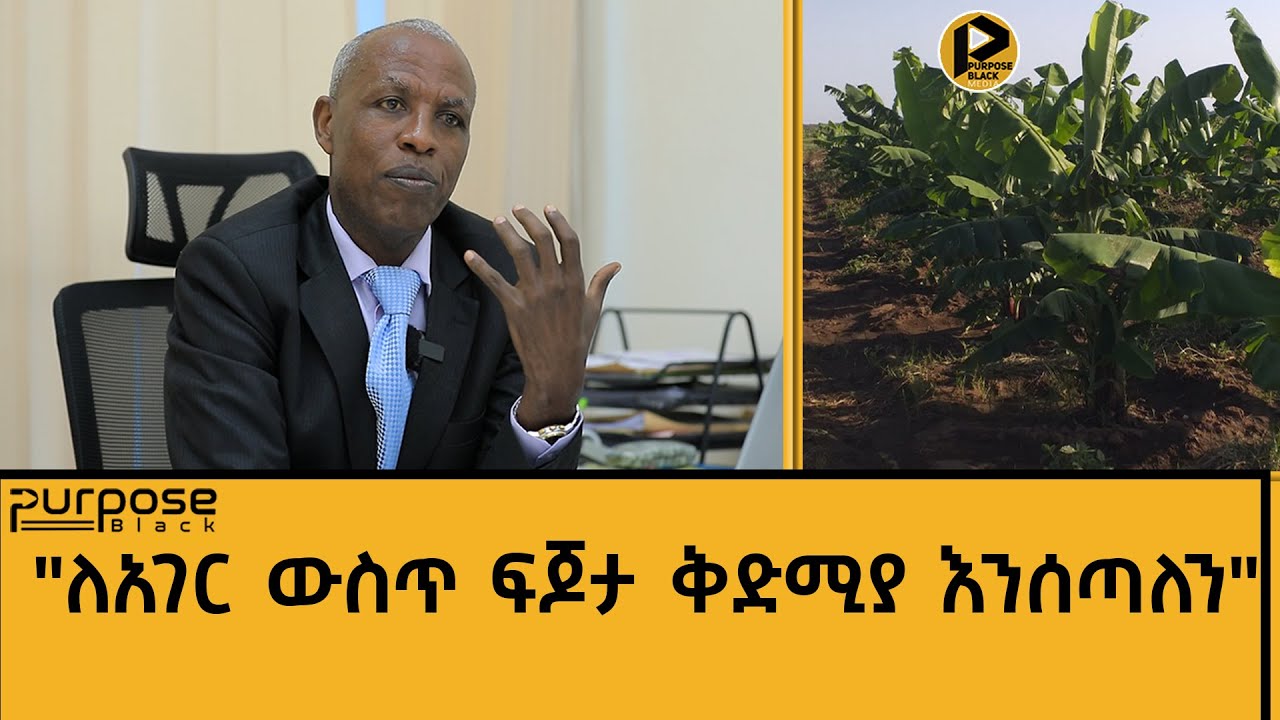 ቢዝነሳችን | ዶጎሞቴ ላይ የተተከለው ሙዝ ያለበት ደረጃ።