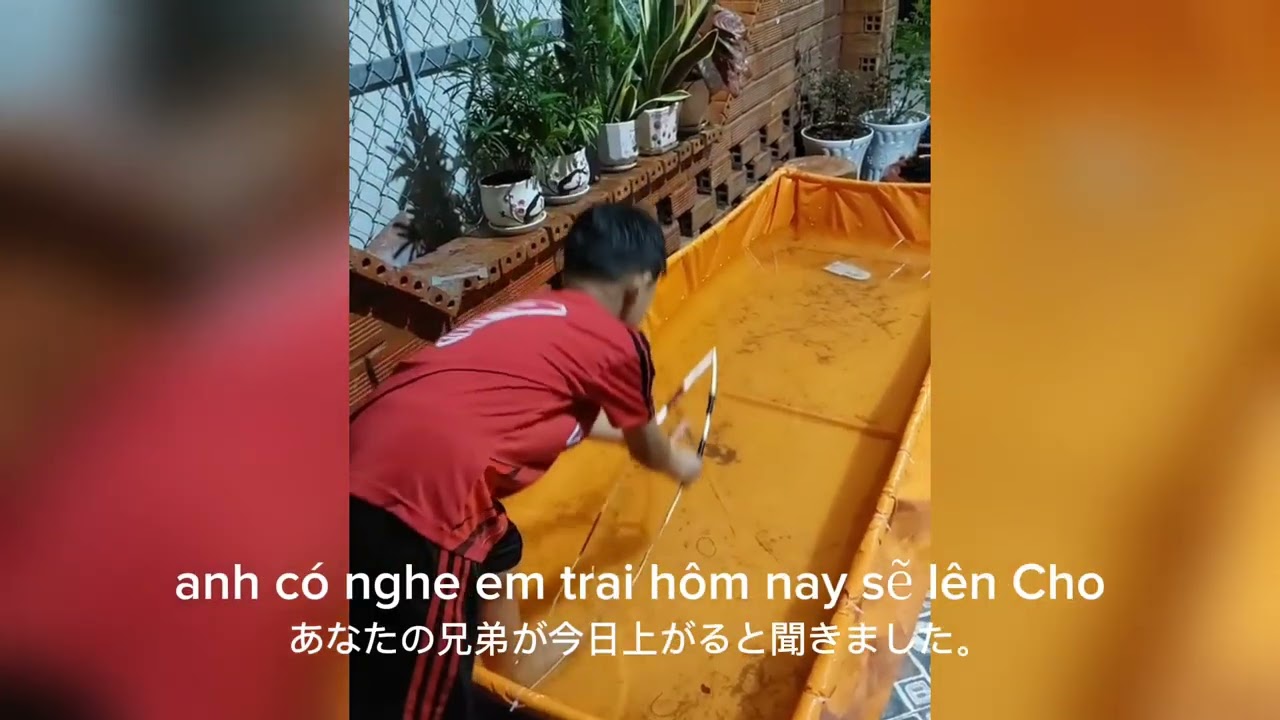 Tập 7| Những M&agrave;n Test Bo Bo Ghe Ngo Cực Hay 