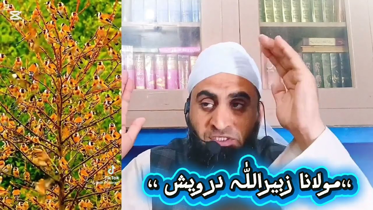 اھم مسٔلہ: کیا بھائی بہن کو زکوٰۃ یا صدقہ الفطر دے سکتا ھے یا نہیں ؛؛؟؟