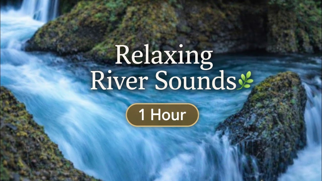 Calm River Sounds for Relaxation and Sleep 🌿 | Nature Ambience 1 Hour