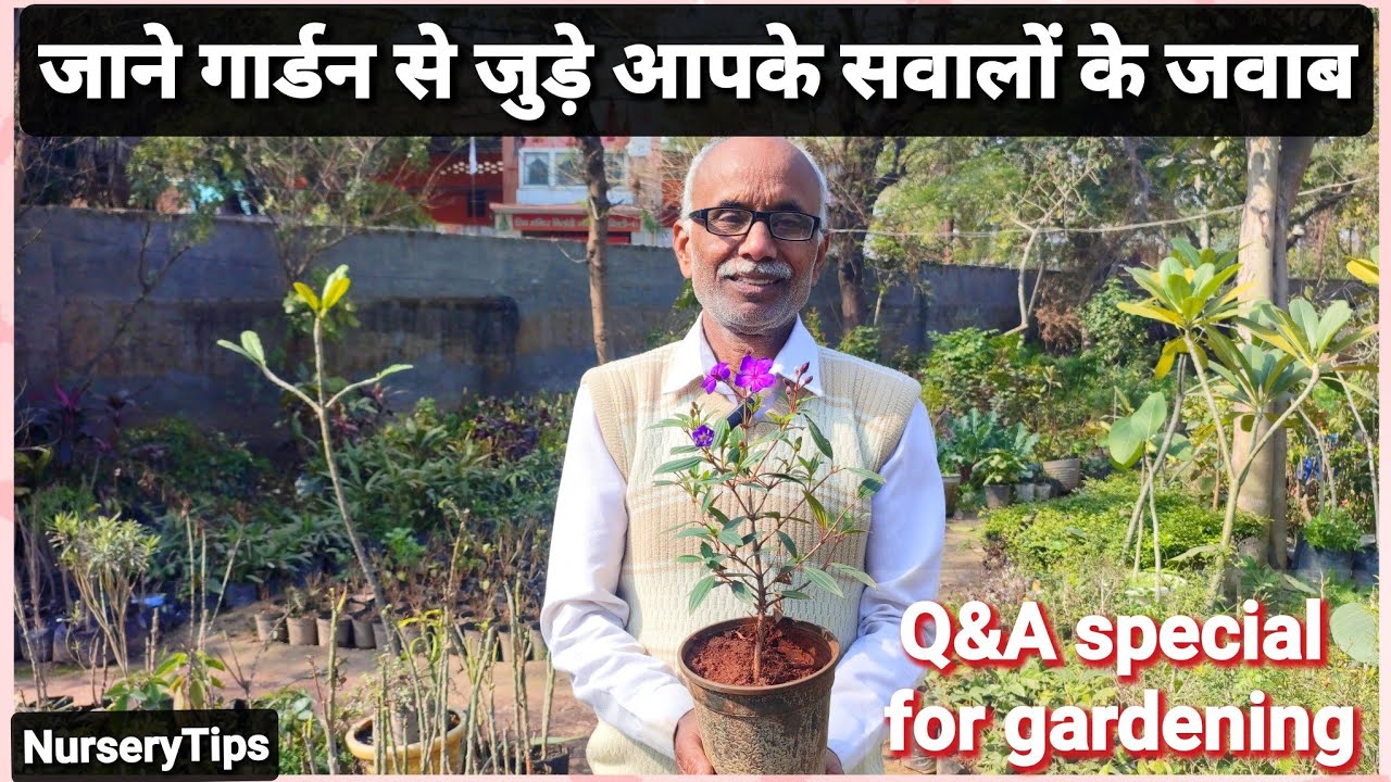 जाने गार्डन से जुड़े आपके पूछे सवालों के शानदार जवाब | Q&A special | NurseryTips |