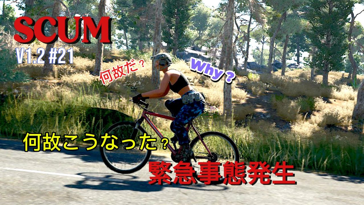 SCUM Survival — это просто безумие!