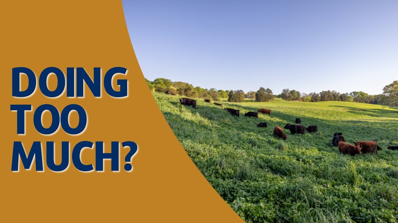 Too Many Enterprises? Dallas Mount on Ranch Focus & Profitability