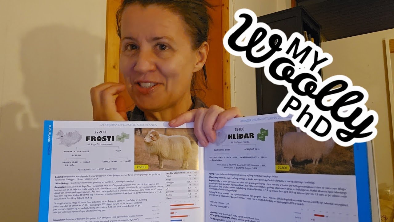 My Woolly PhD: Episode #39 - a ram catalogue through the anthropological lens